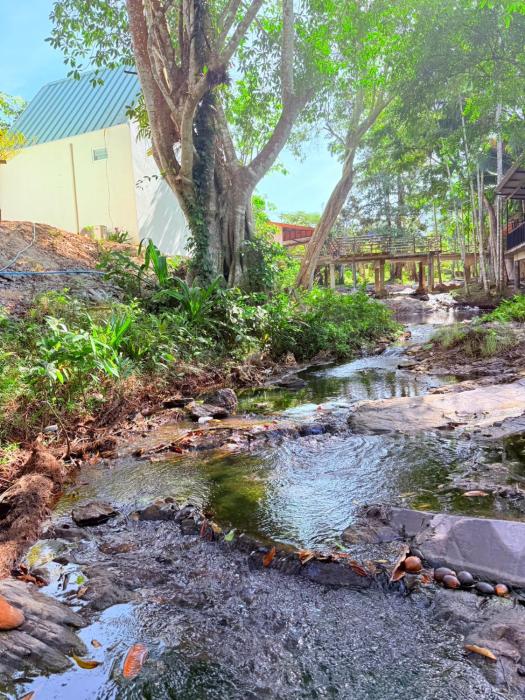 lanta forest resortandvillas