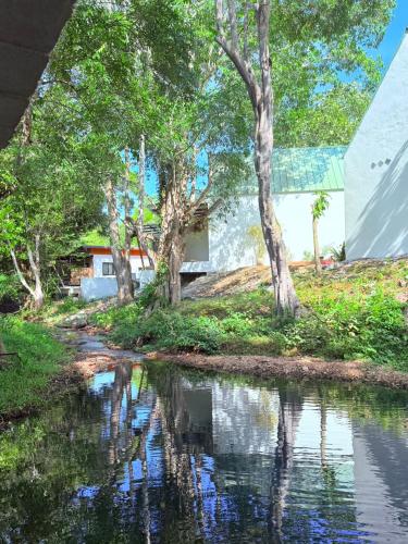 lanta forest resortandvillas