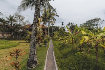 om wellness resort
