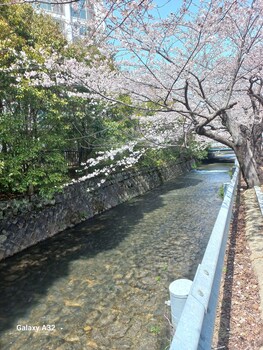 priberry hotel