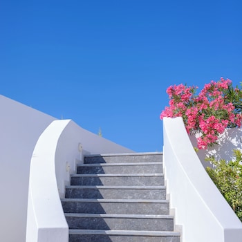 safrani suites