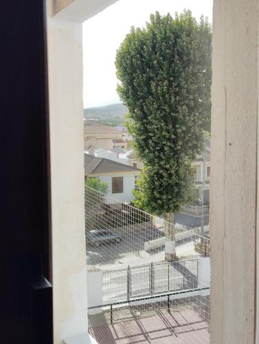 hotel velez