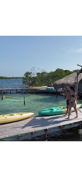 el arca