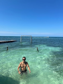 el arca