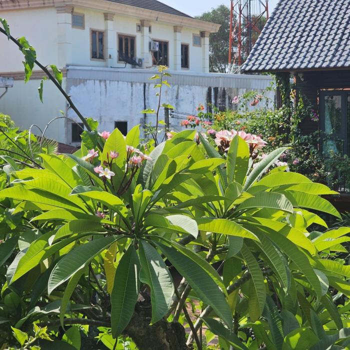 champa phan boutique hotel