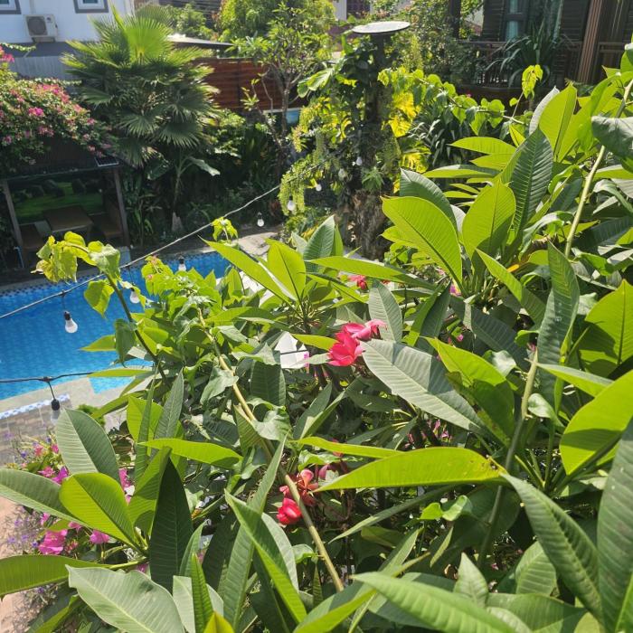 champa phan boutique hotel