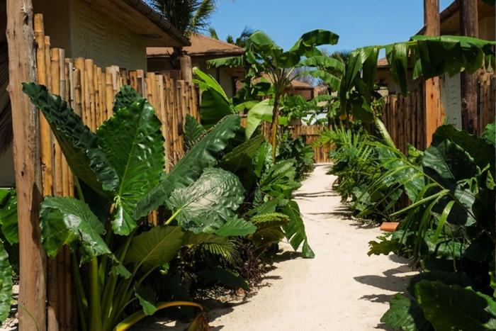 envi paje