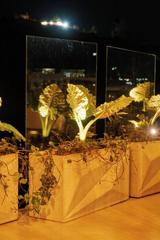 roka hotel