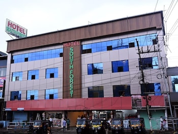hotel south forest
