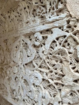 casa del armino