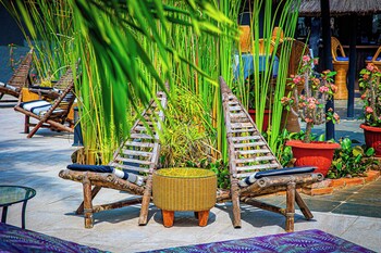 kombo oasis