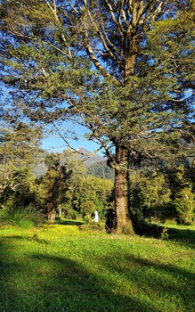salvatierra lodge