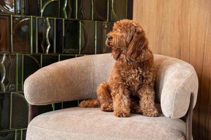 hotel kraft