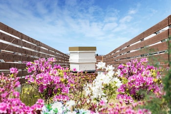 oakwood yeouido park seoul