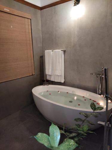 river shades hotel