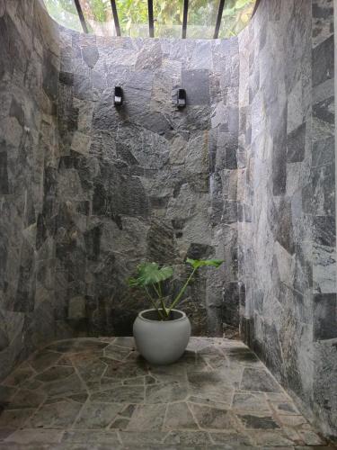 river shades hotel
