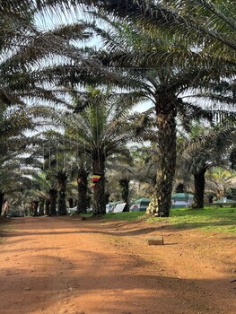 bugoma palms resort beach and hotel