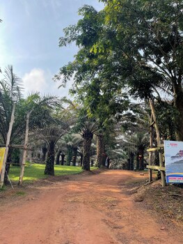 bugoma palms resort beach and hotel