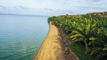 bugoma palms resort beach and hotel