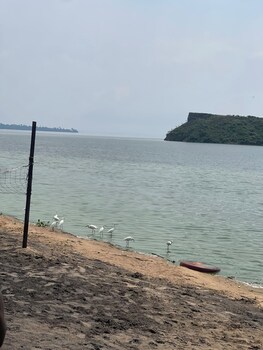 bugoma palms resort beach and hotel