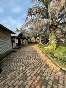 bugoma palms resort beach and hotel