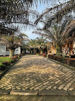 bugoma palms resort beach and hotel