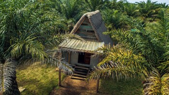 bugoma palms resort beach and hotel
