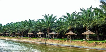 bugoma palms resort beach and hotel