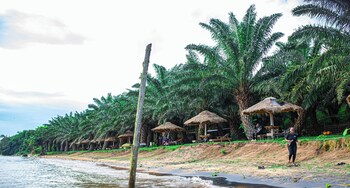 bugoma palms resort beach and hotel