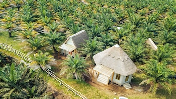 Bugoma Palms Resort Beach And Hotel,,2 star