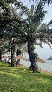 bugoma palms resort beach and hotel