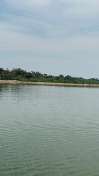 bugoma palms resort beach and hotel