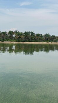 bugoma palms resort beach and hotel