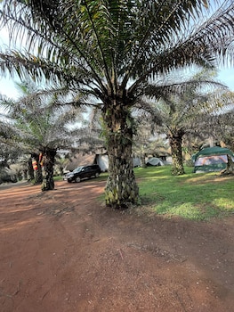 bugoma palms resort beach and hotel