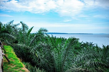 bugoma palms resort beach and hotel
