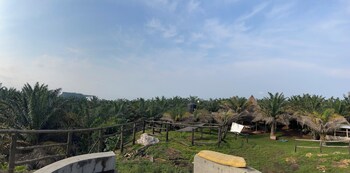 bugoma palms resort beach and hotel