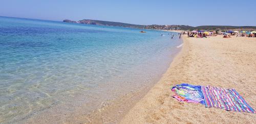 zeeva hotel and resort