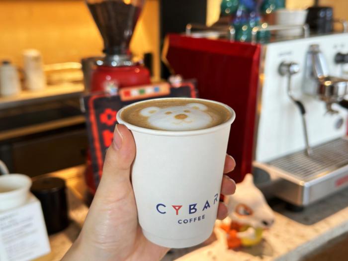 cybo junting shangpin hotel chengdu chunxi road tianfu square branch