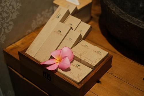 togog polos ubud house