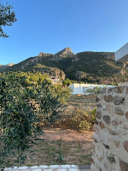 dar nesri