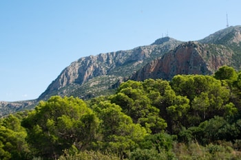 dar nesri