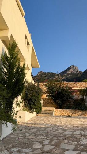 dar nesri