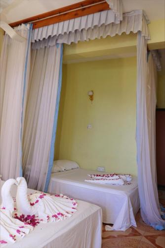 haveton hotel and apartments