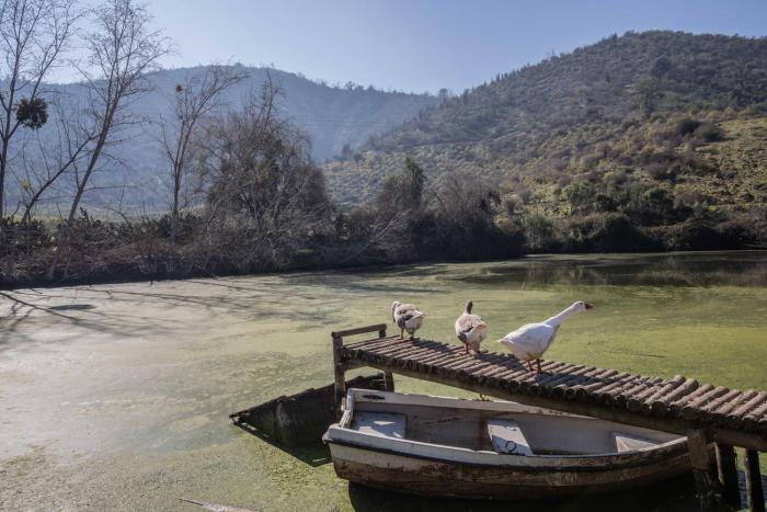 lodge los naranjos de mallarauco