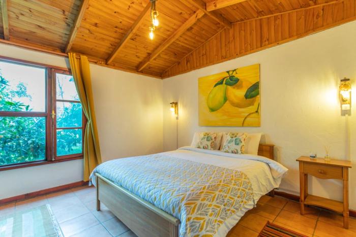 lodge los naranjos de mallarauco