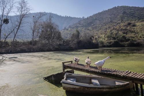 lodge los naranjos de mallarauco