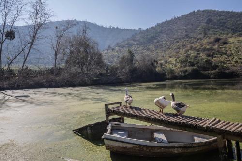 lodge los naranjos de mallarauco
