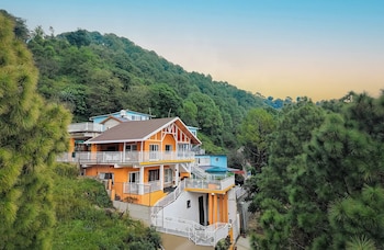 ama stays and trails white hackle dharamshala