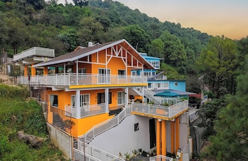 ama stays and trails white hackle dharamshala