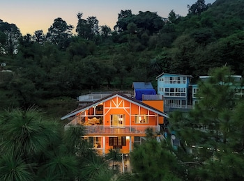 ama stays and trails white hackle dharamshala